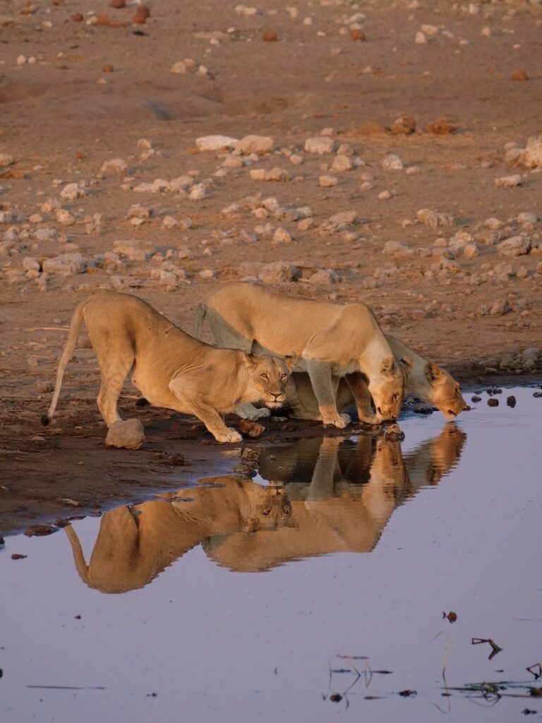 45240C30-BACF-4223-B6C0-D3D573D6ACD1-19881-00000A4AB627D0AB