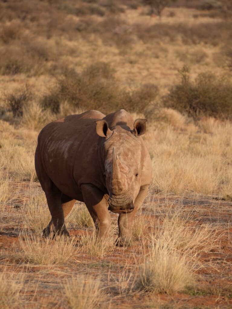 A67B2144-63EA-4D94-9EEF-AAFADD443633-3783-000001AC923F5D82