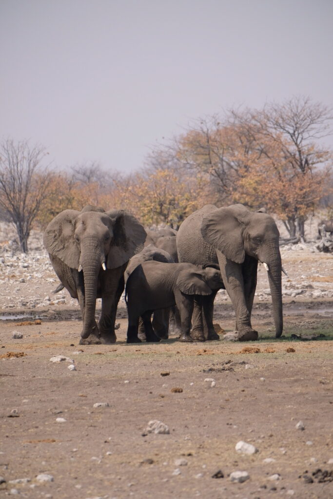 457874E5-96C8-413B-A4D8-29125FF6A817-13979-000007FEAB3A6290