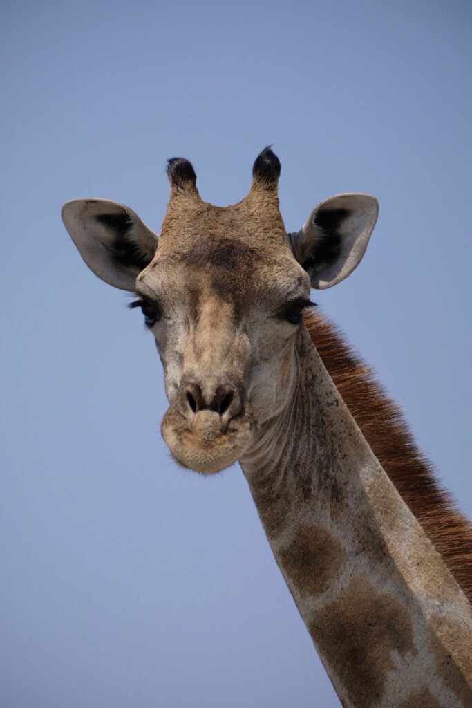 4BF0E667-B08C-446D-8830-52DE6FC2C42A-16513-000008EC8ACC2707