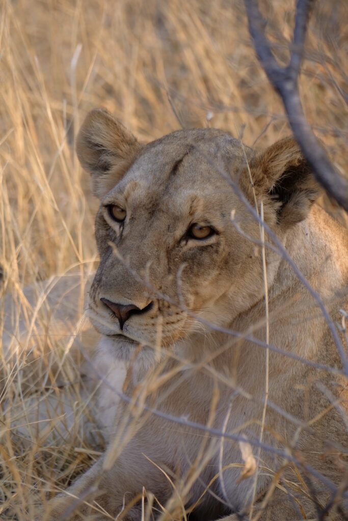 57C25353-A55D-4081-83EF-B61067C59845-16513-000008ED221500A6