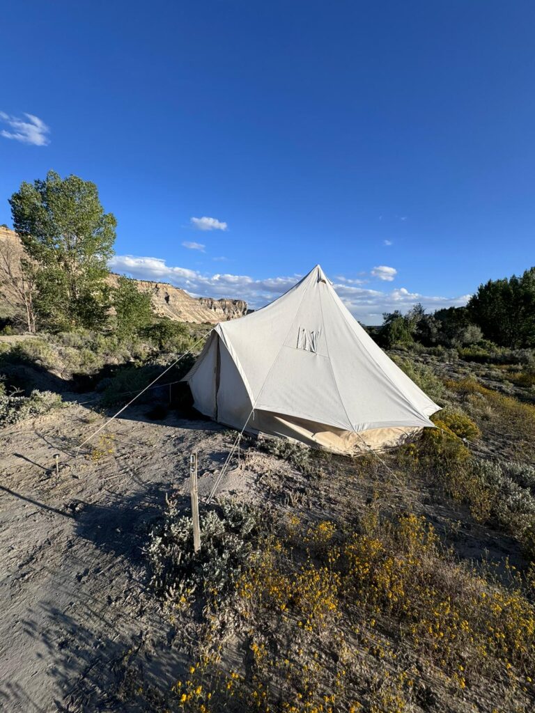 73b0c806-cb97-42f7-9f94-99b1d383e04c