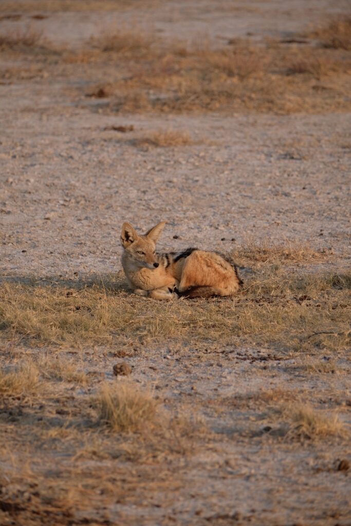 D6D37097-7F6B-4237-B3AF-D39E075CD61E-19881-00000A4ACABD710C