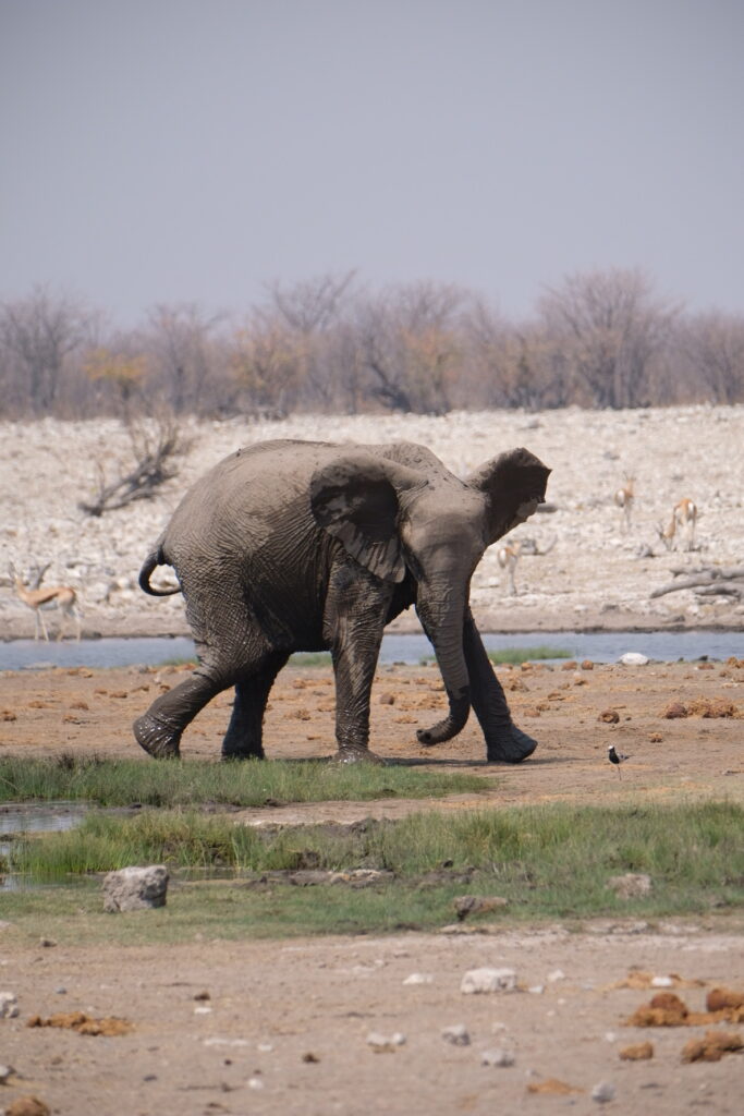 DBCC6B4A-D794-4DD2-89BC-9E5C596D78D1-13882-0000077150ADCCC4