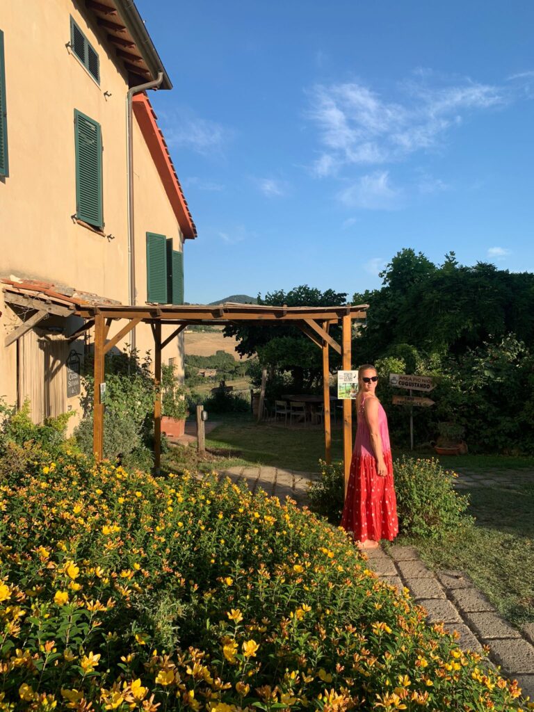 8bbb6300-7727-4d85-a081-78f2bf069222